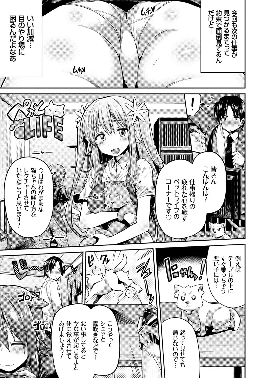 キンキョウコウビ