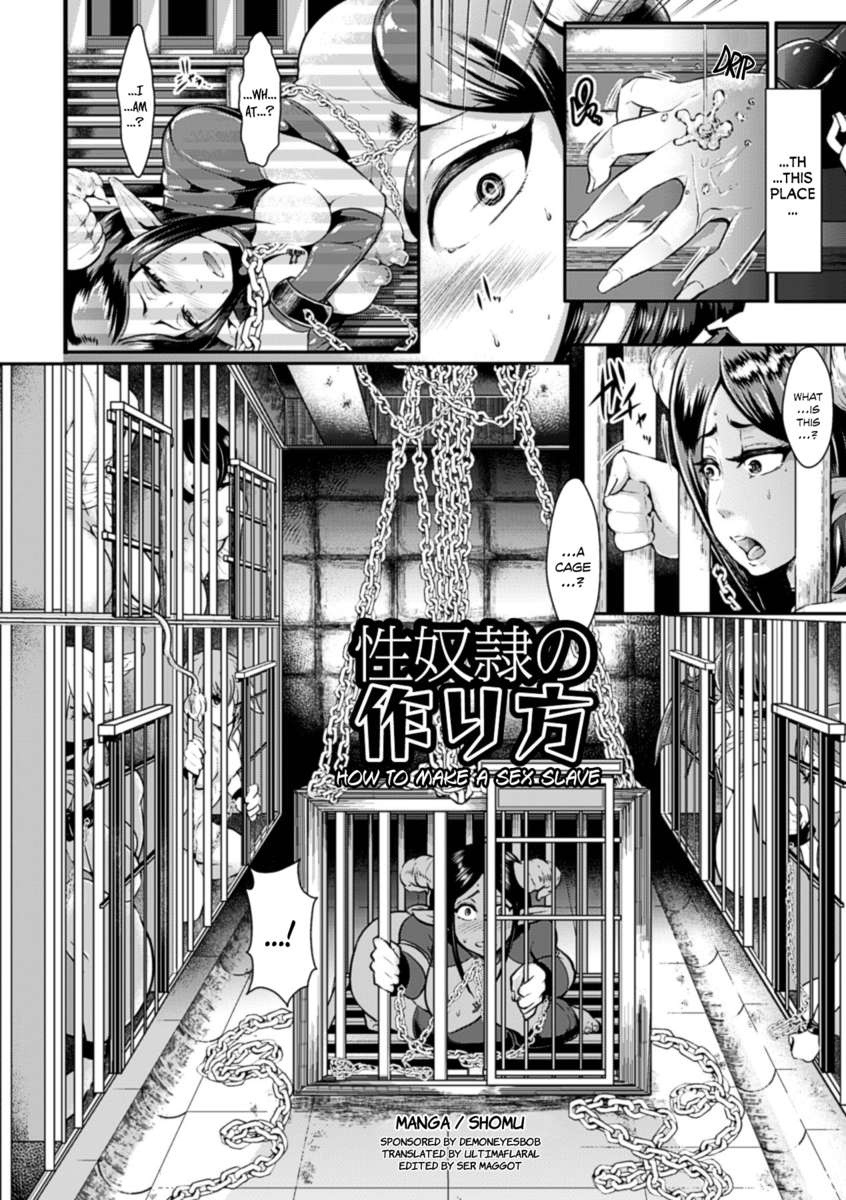 性奴隷の作り方 性奴隷の作り方
