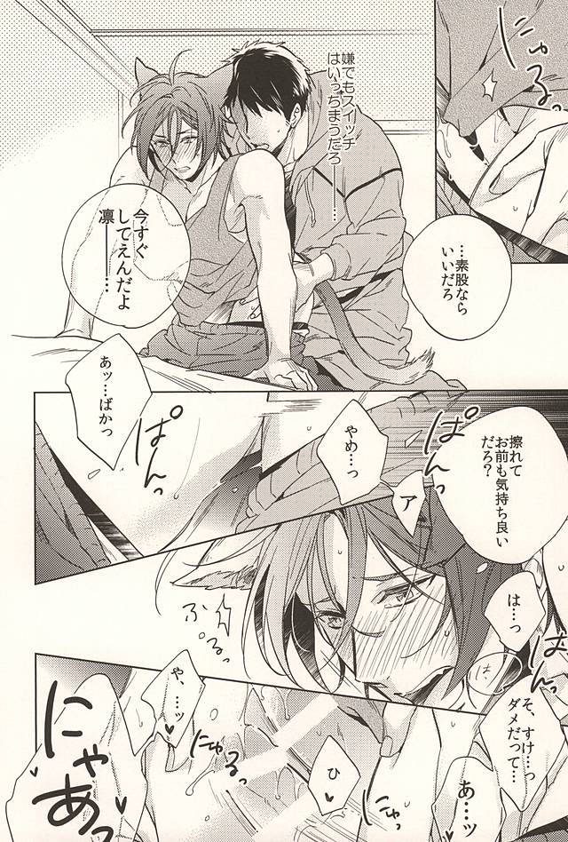 猫と宗介