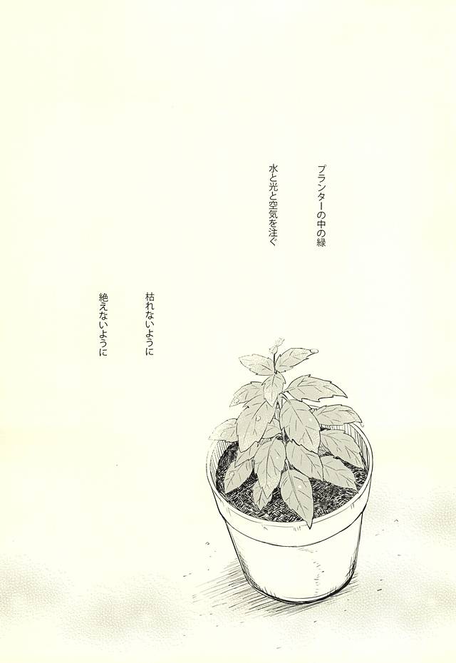 果物は1日して成達