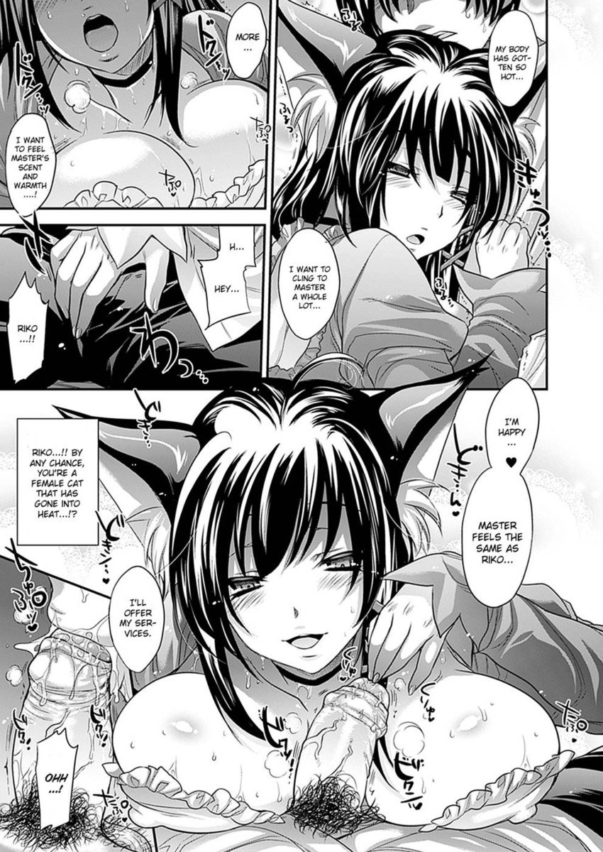 大阪里猫ニャン