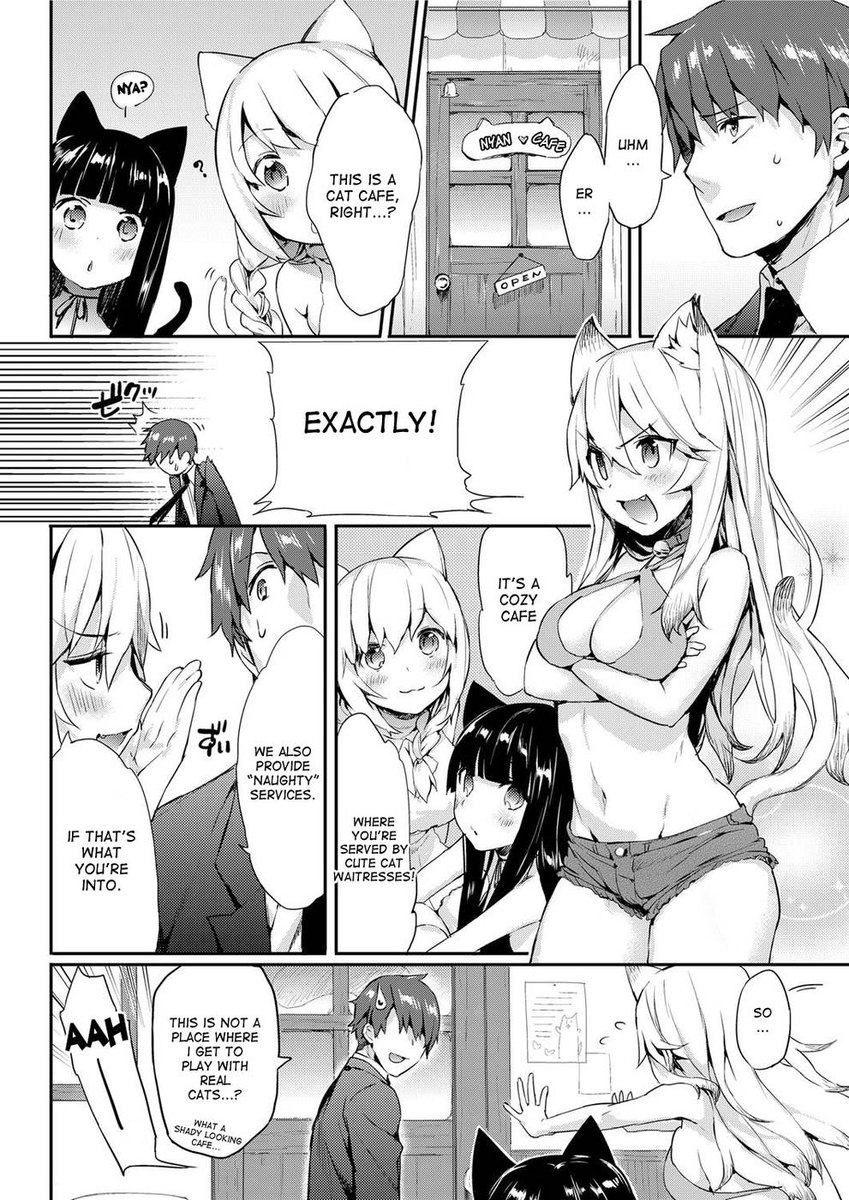 ニャンニャン作戦