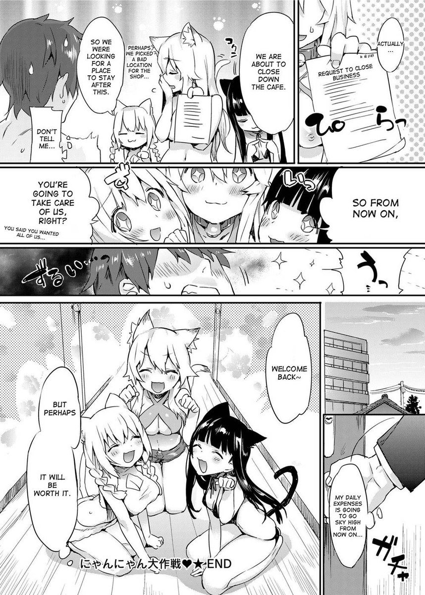ニャンニャン作戦