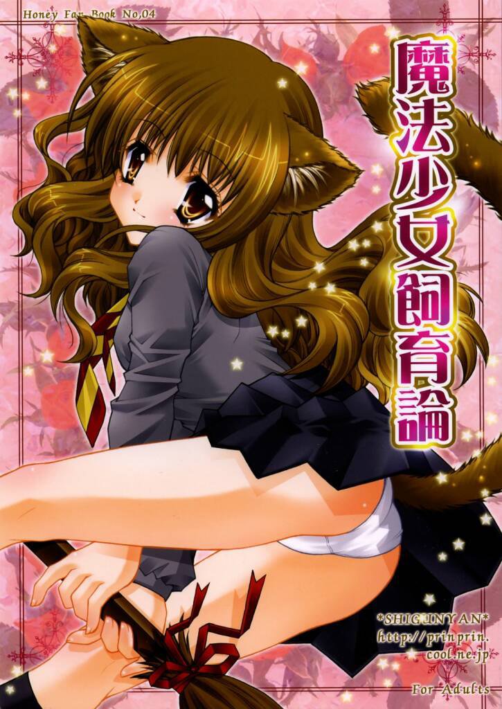 魔法少女四季ロン 魔法少女四季ロン