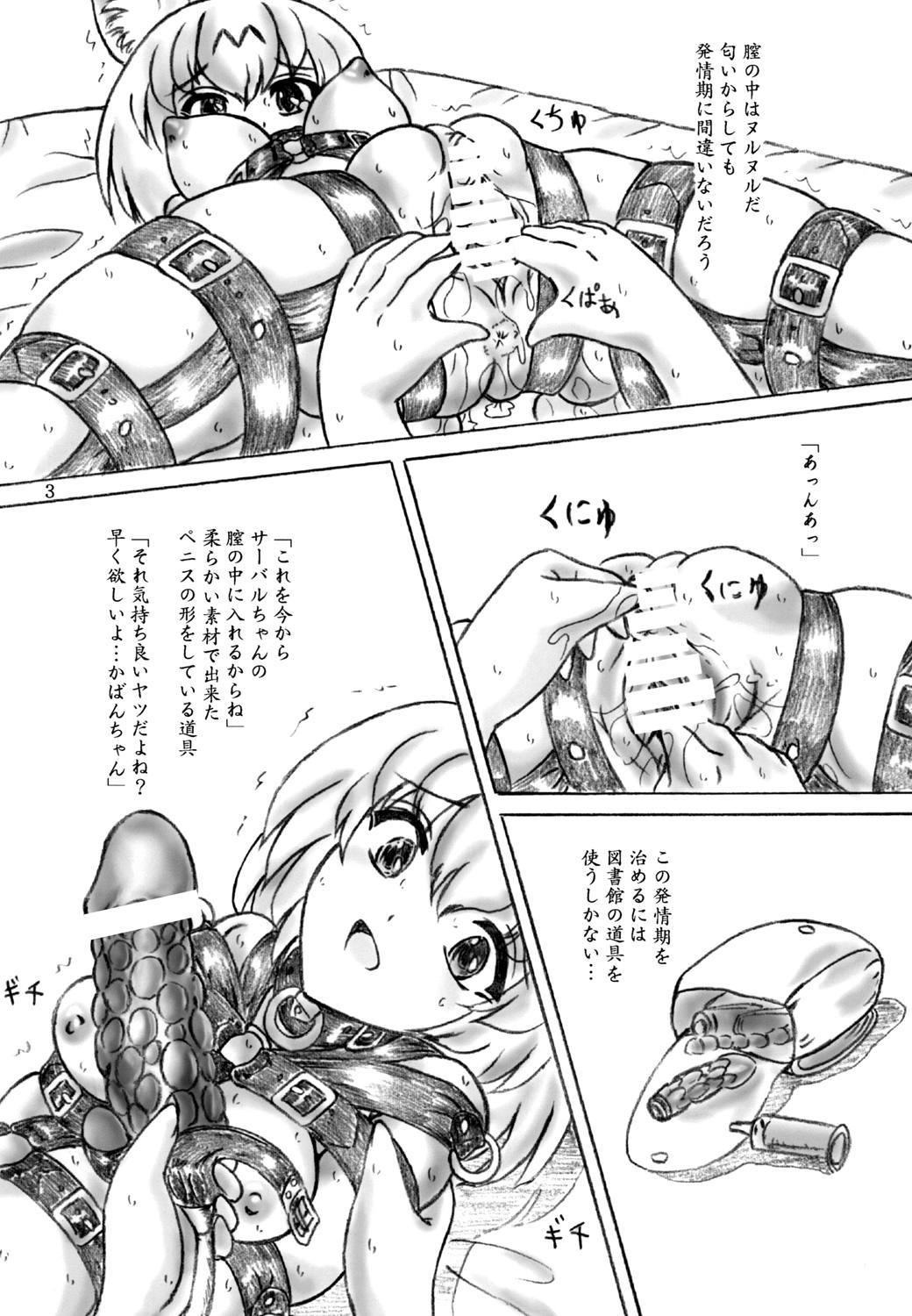 ハツジョウキフレンズ