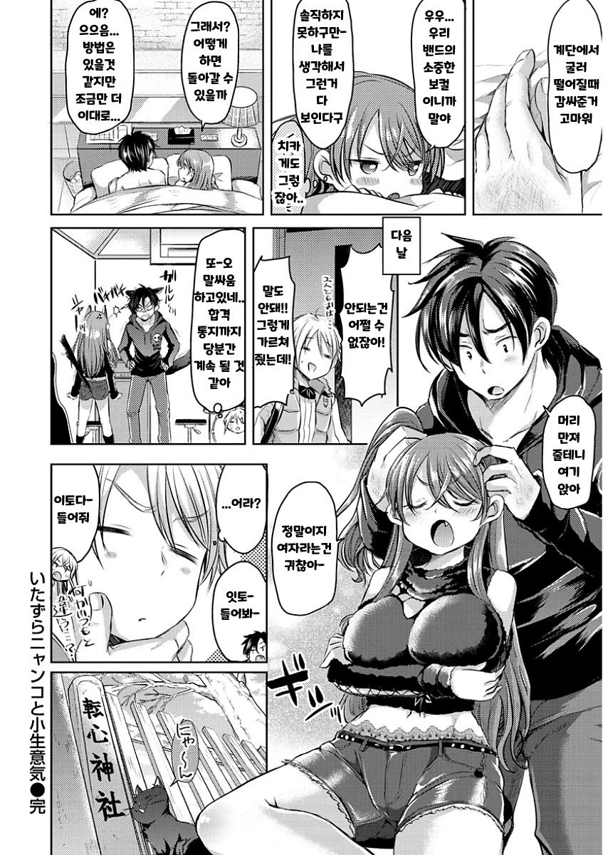 イタズラニャンコからコナマイキへ