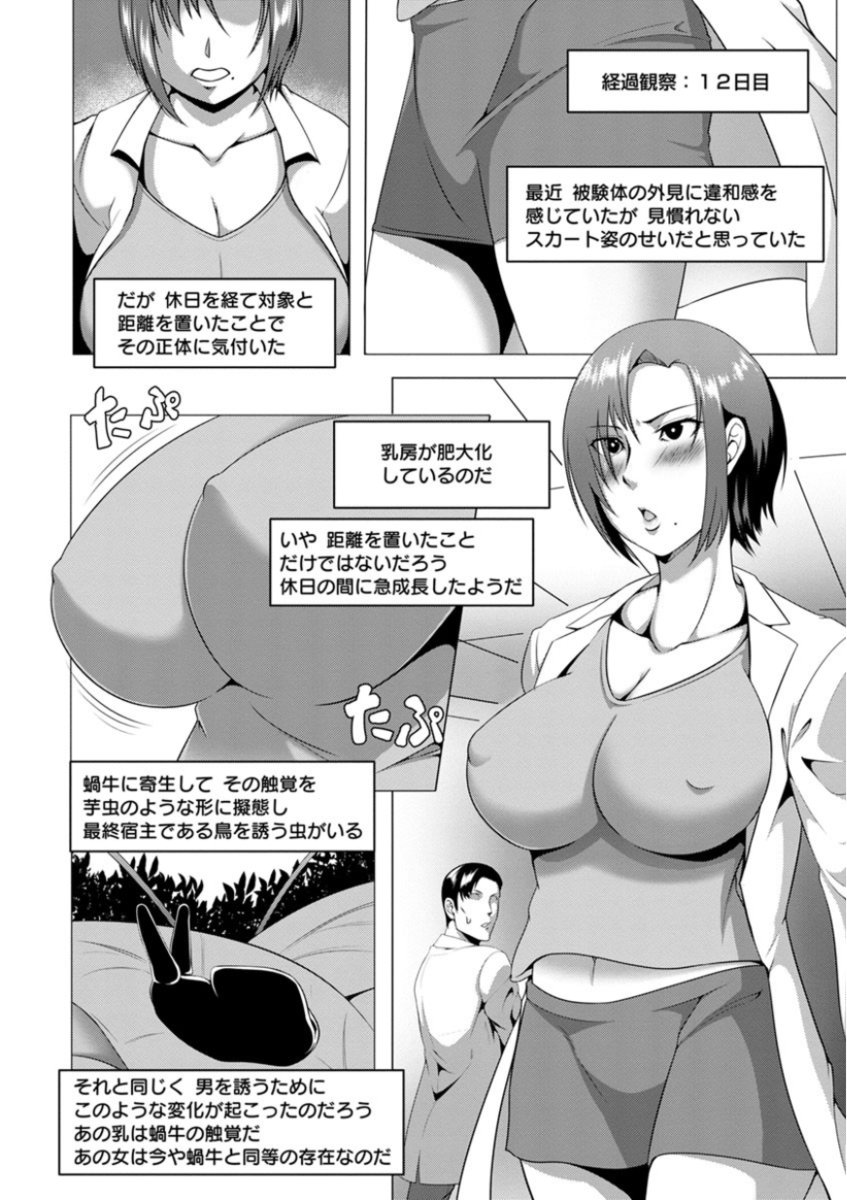 メスブタ天楽