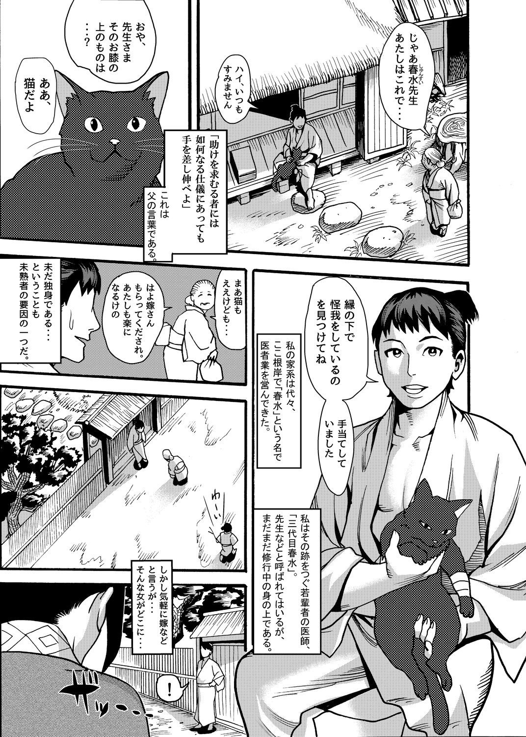 マヨイネコくノ一ナガレニンポウチョウ