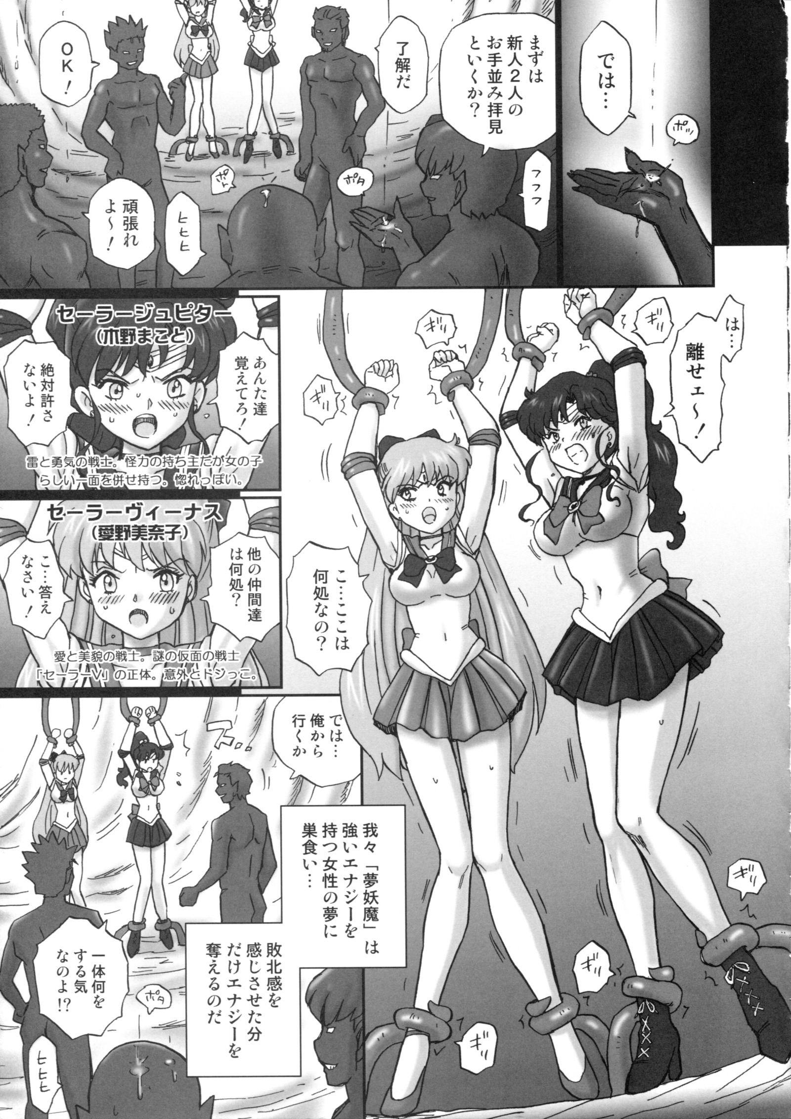 TAIL-MAN SAILORMOON 5GIRLS BOOK