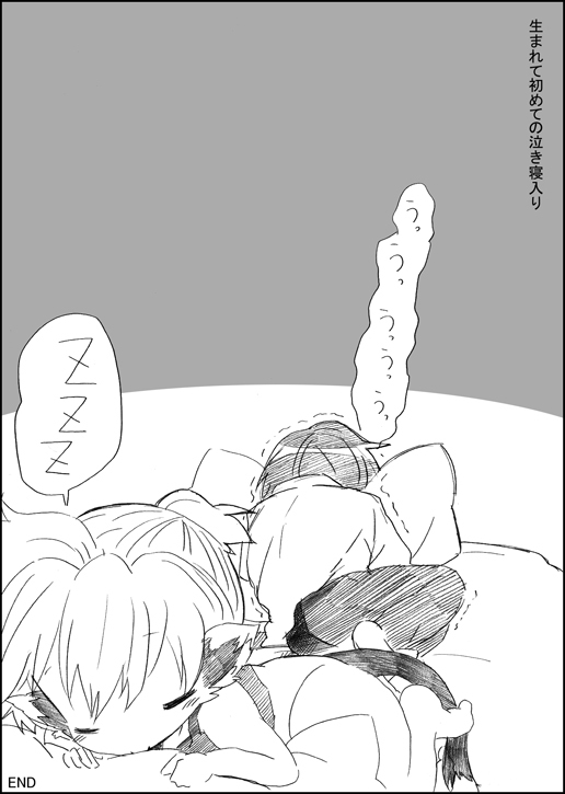 にゃんこのいる生活