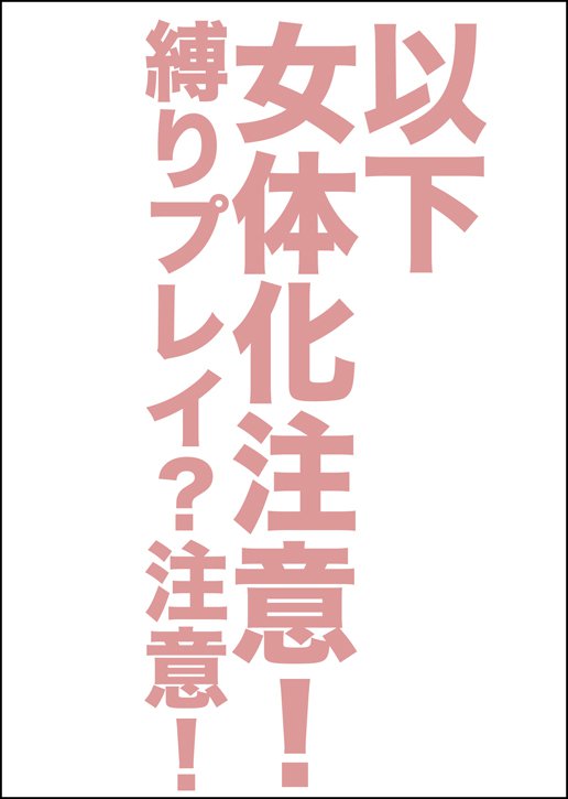 にゃんこのいる生活