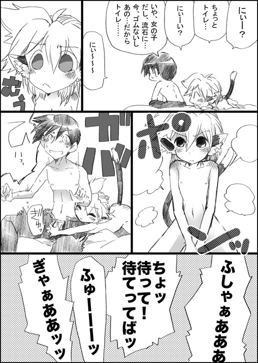 にゃんこのいる生活