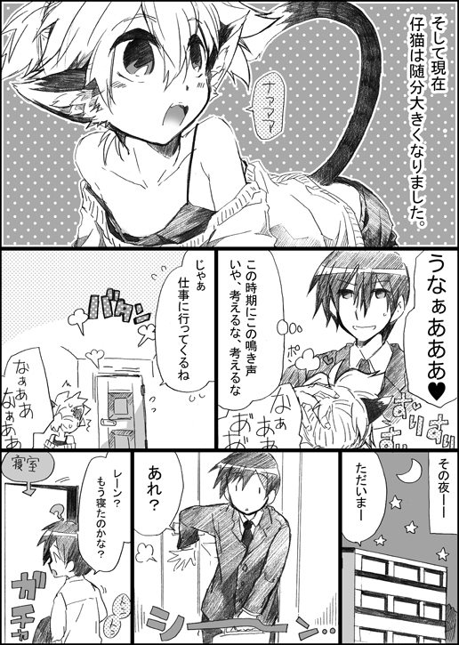 にゃんこのいる生活