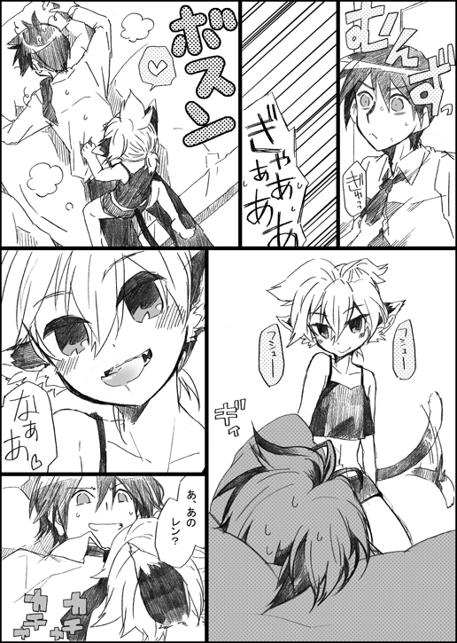 にゃんこのいる生活