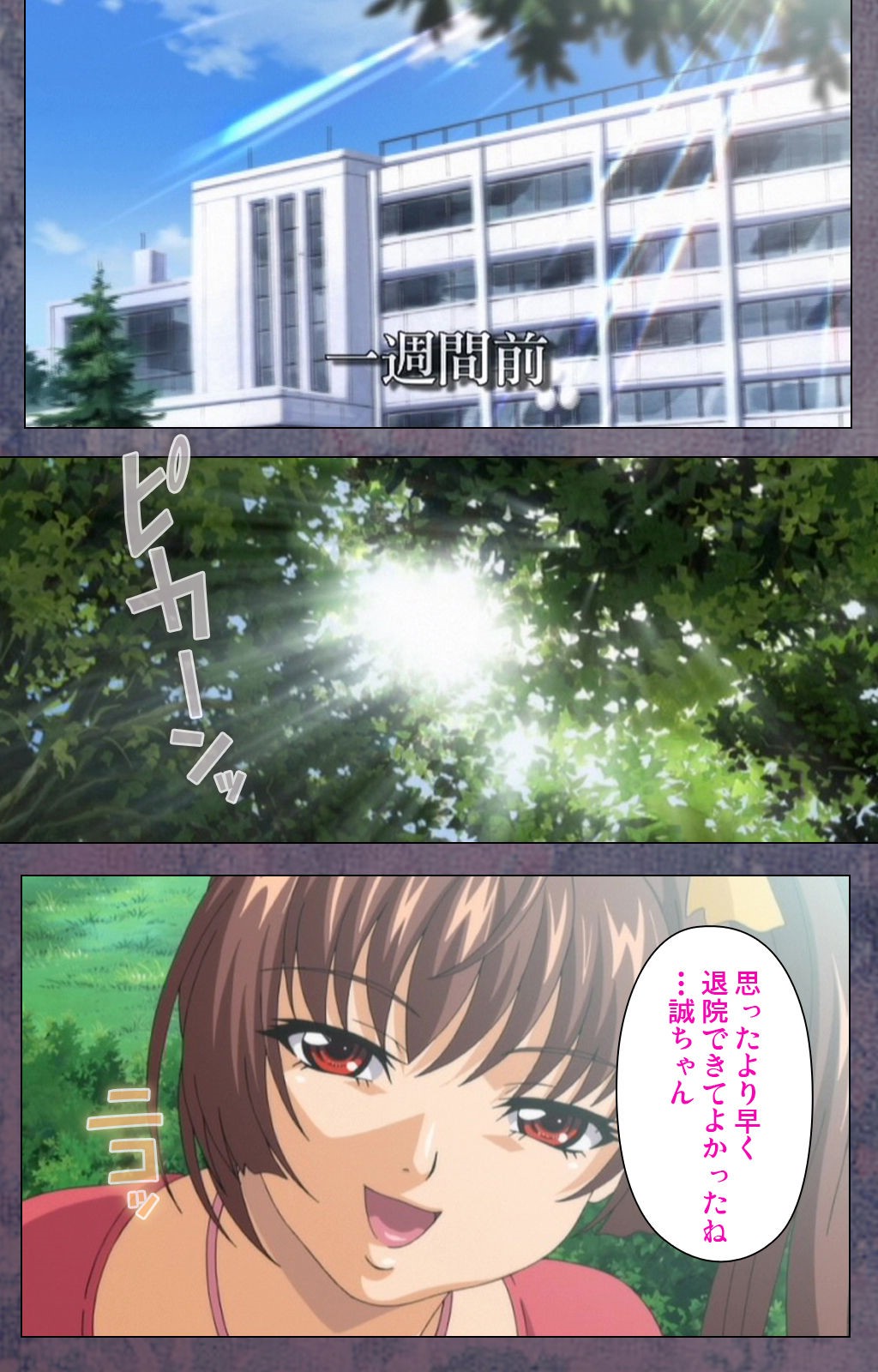 狩野城がみまいにこないウェイクスペシャルコンプリートバン