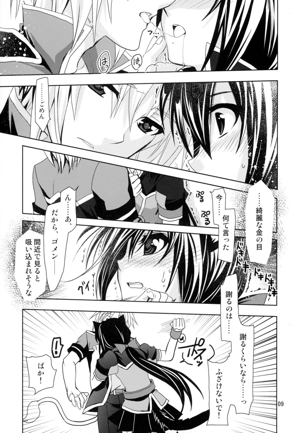 素晴らしい子猫