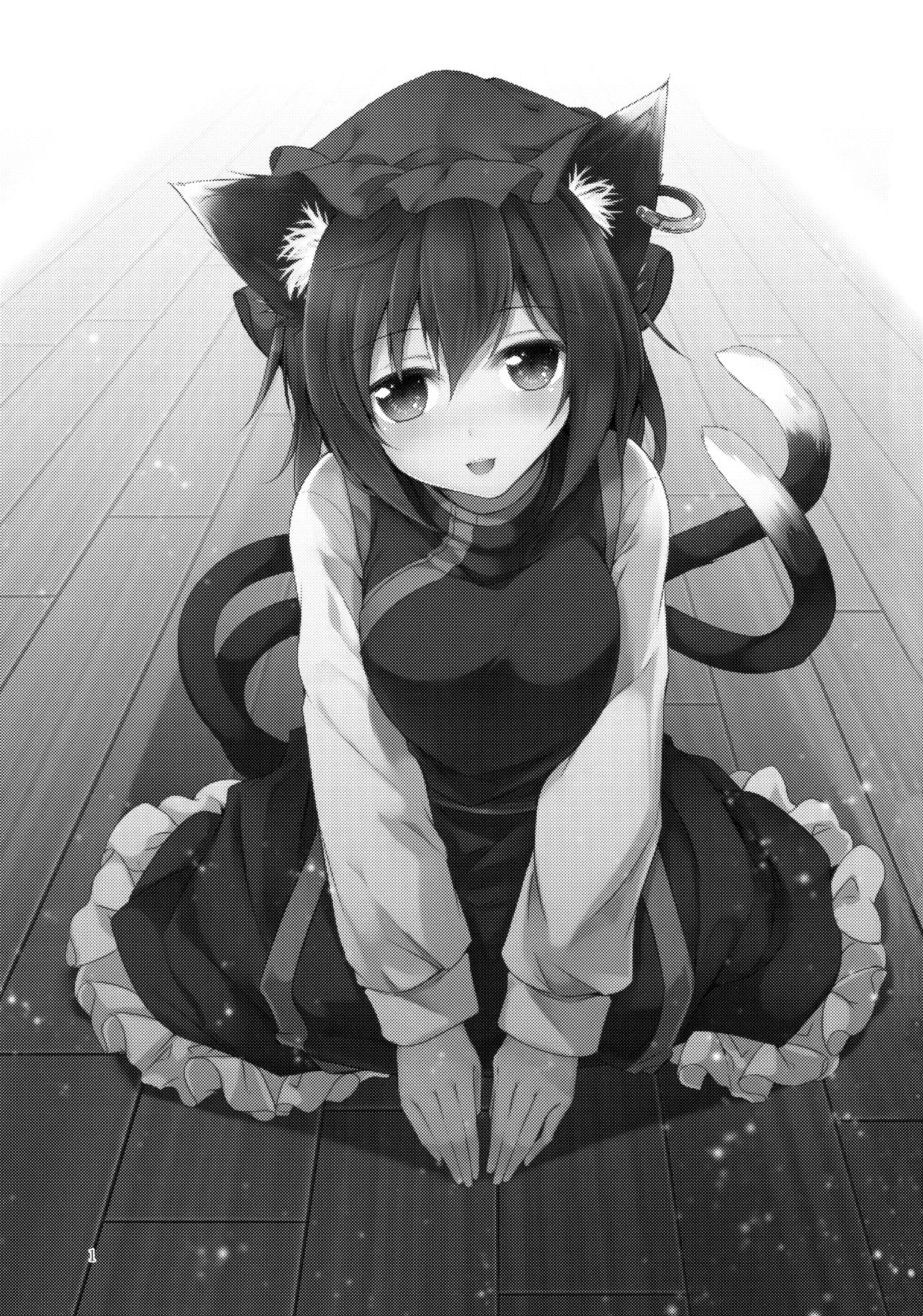 戦術たすけていただいたくろねこです。 |私は先日あなたが助けてくれた黒猫です。