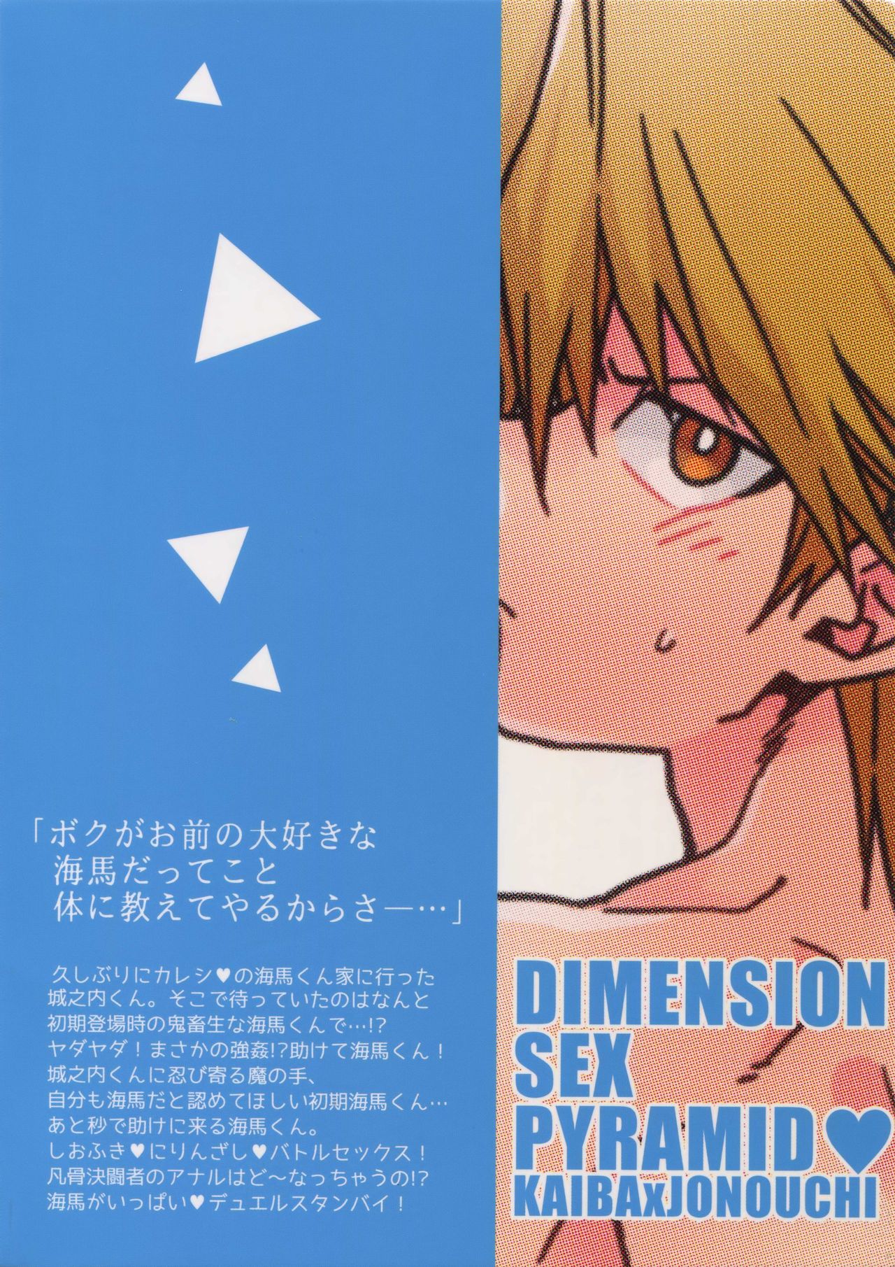 次元のセックスピラミッド