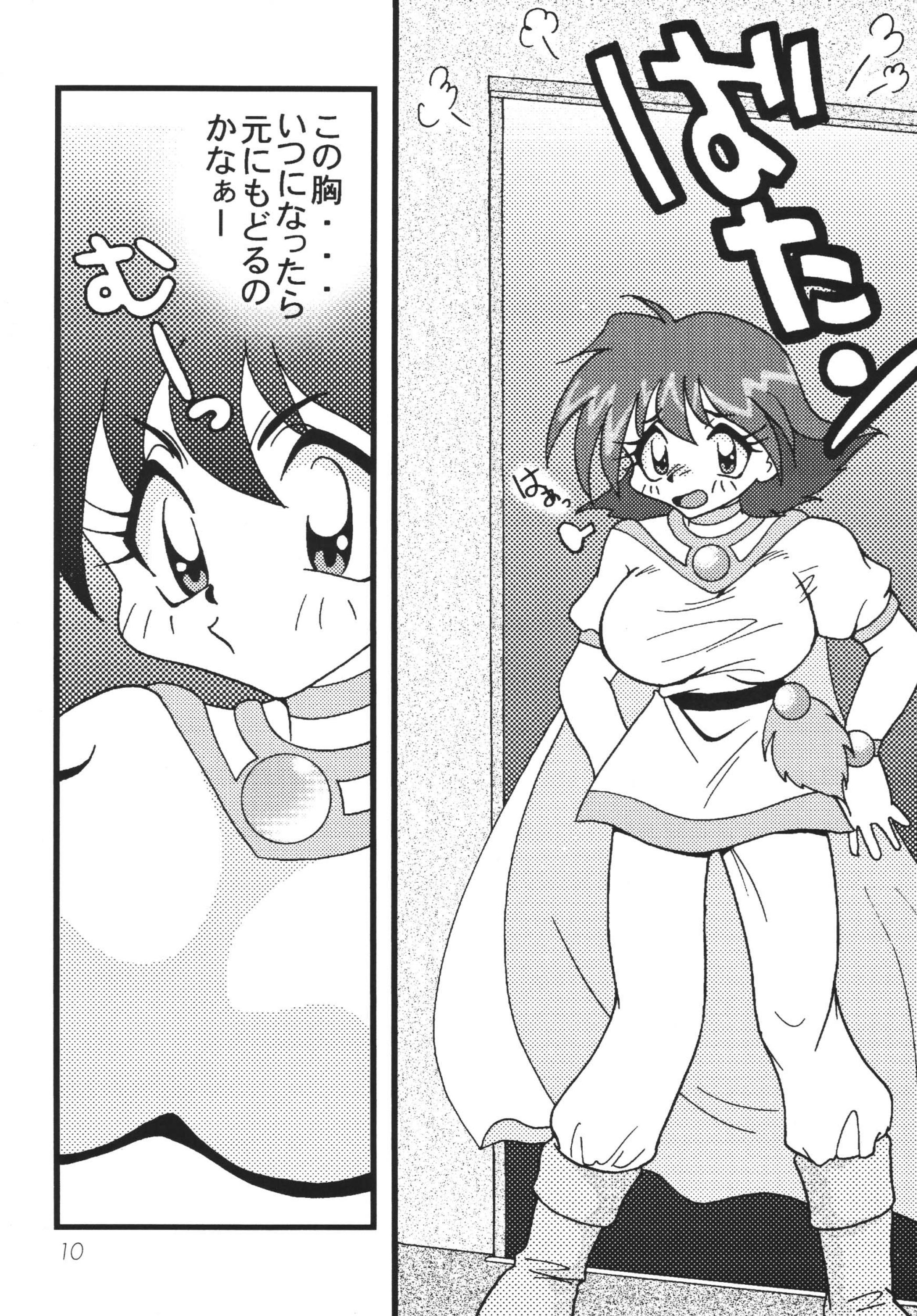 SLAYERS ADULT 10