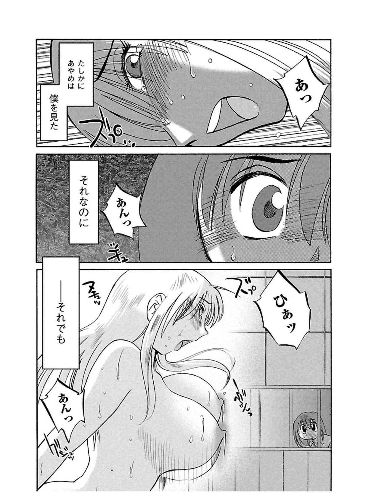 ひるがお1