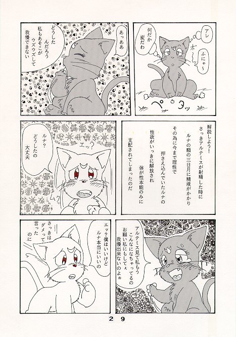 だって猫なんだモン！