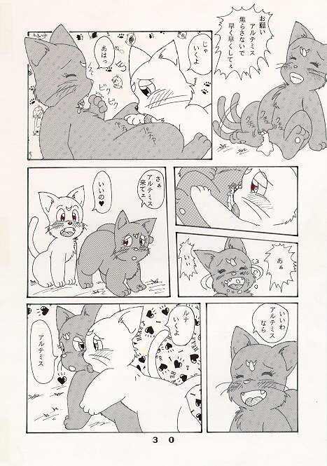 だって猫なんだモン！