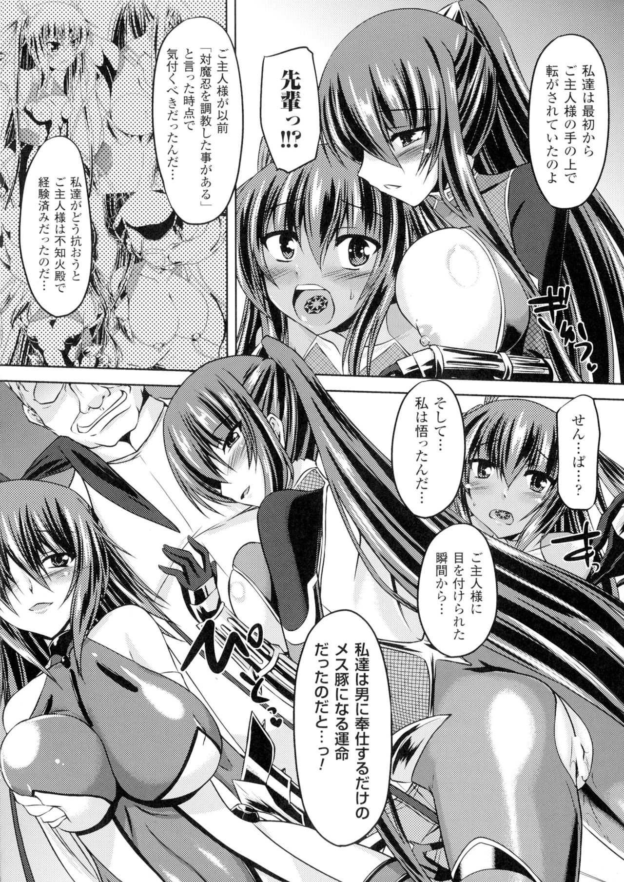 聖霊のヒロインカンゴクファイルDXVol。 1