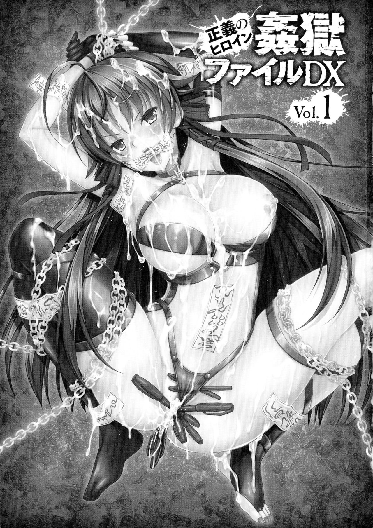 聖霊のヒロインカンゴクファイルDXVol。 1