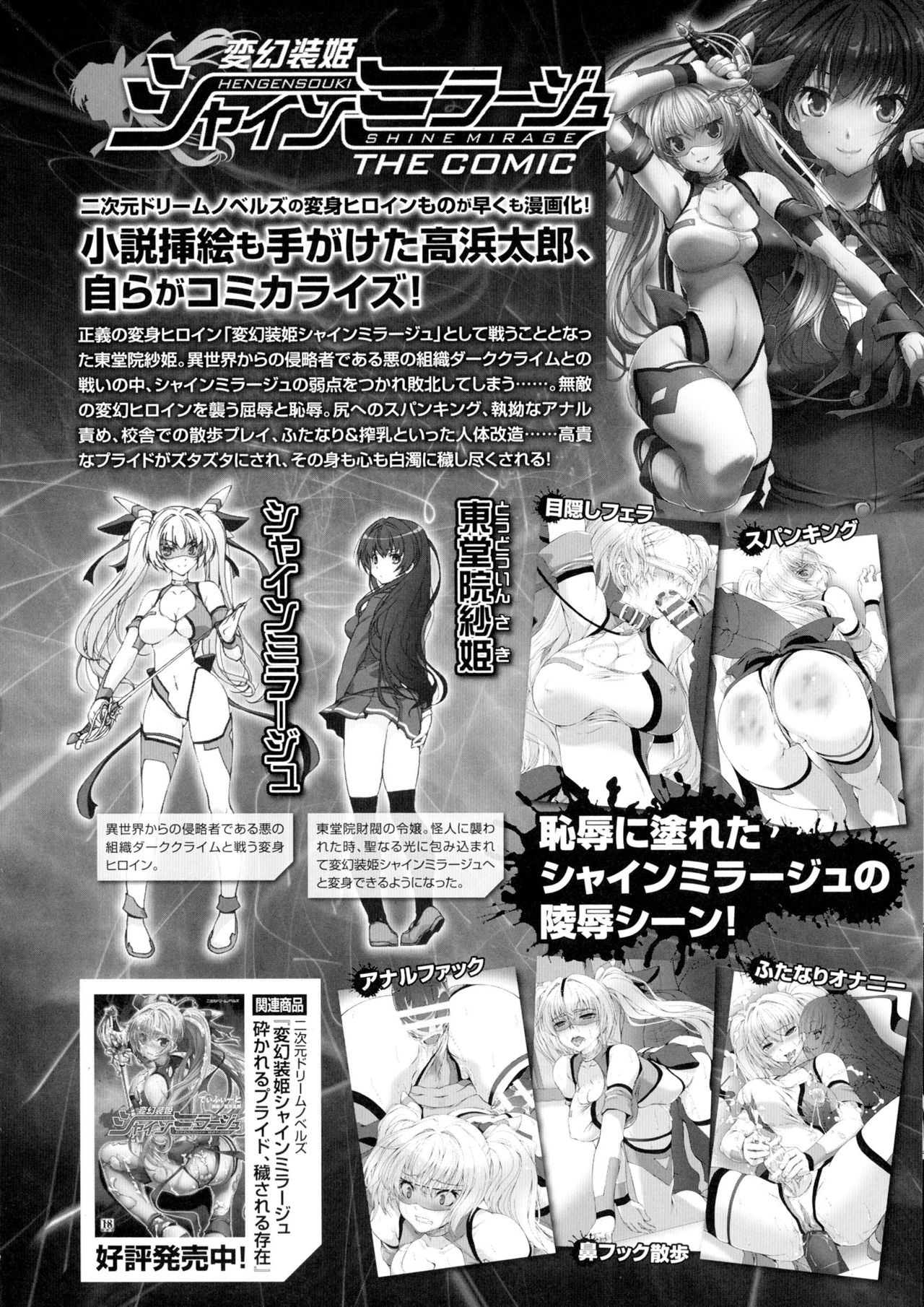 聖霊のヒロインカンゴクファイルDXVol。 1