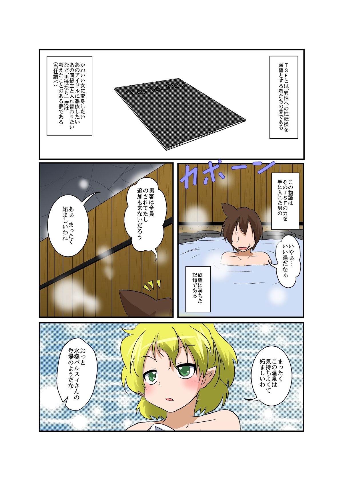 東方TS物語〜パールシー編〜