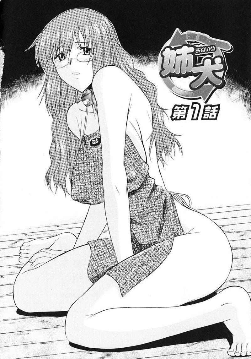 アネイヌVol1-CH1