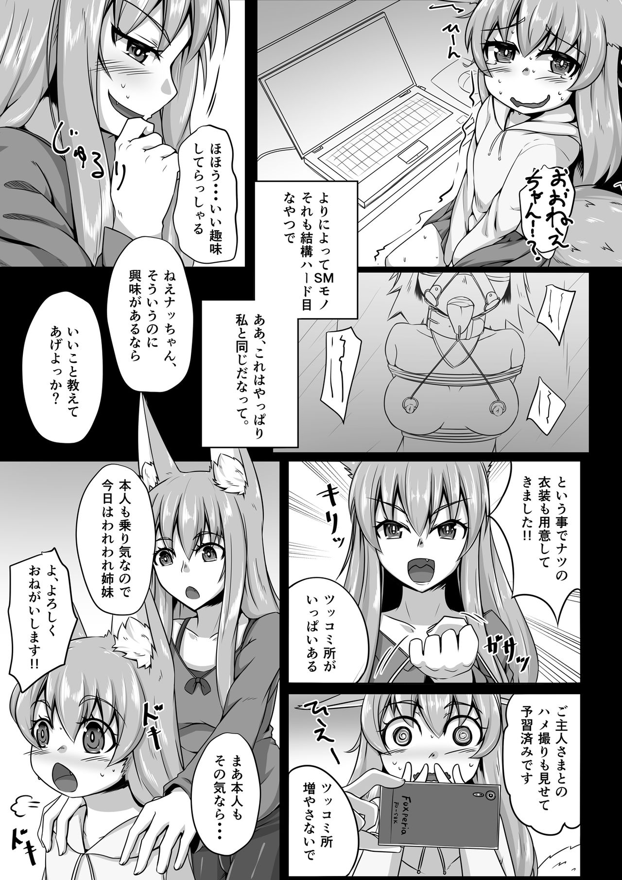 [とりあえず。 (キツネコフ)] FOX MANIAX2