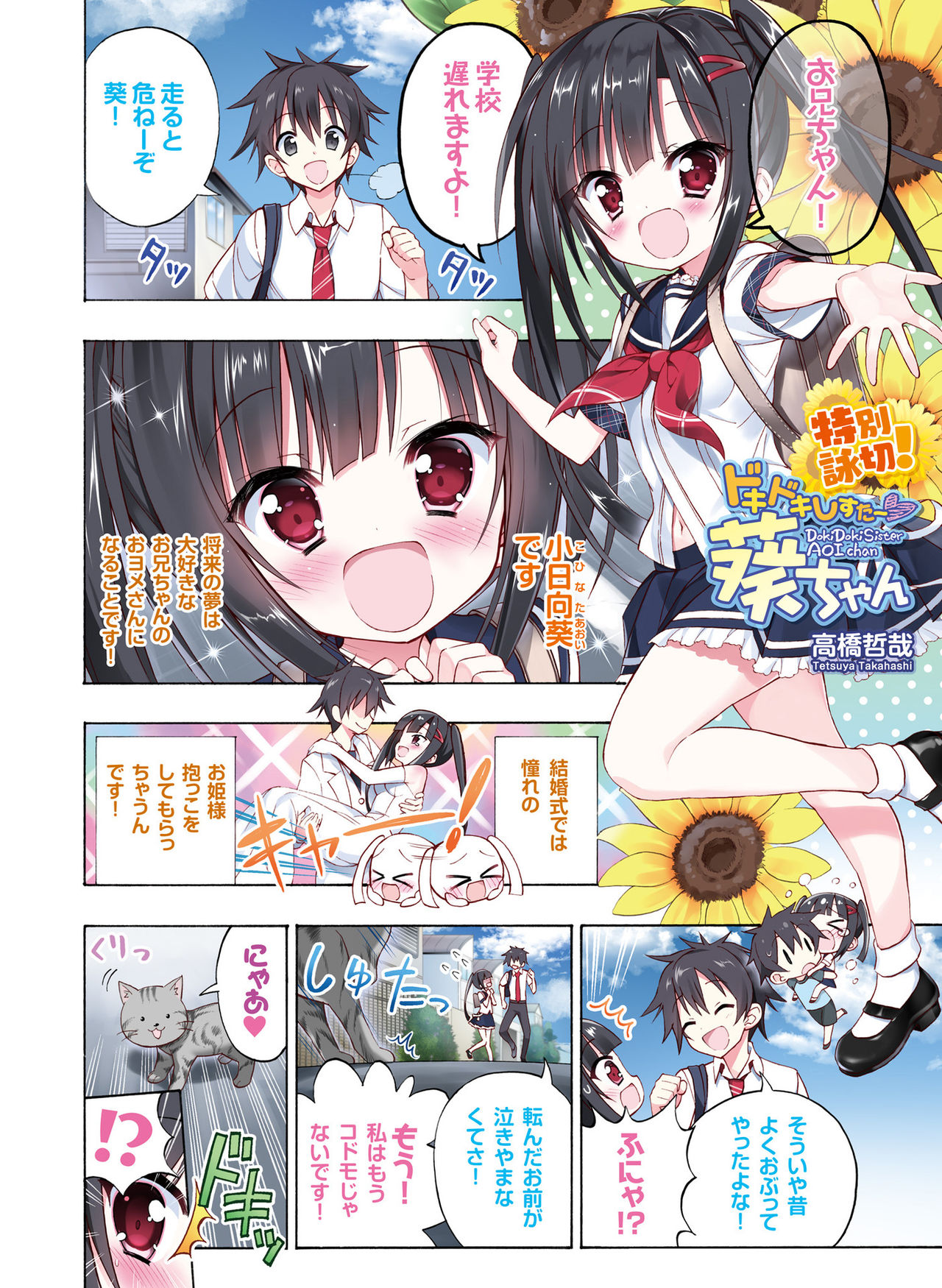 電撃おとな抱き枕王Vol.01