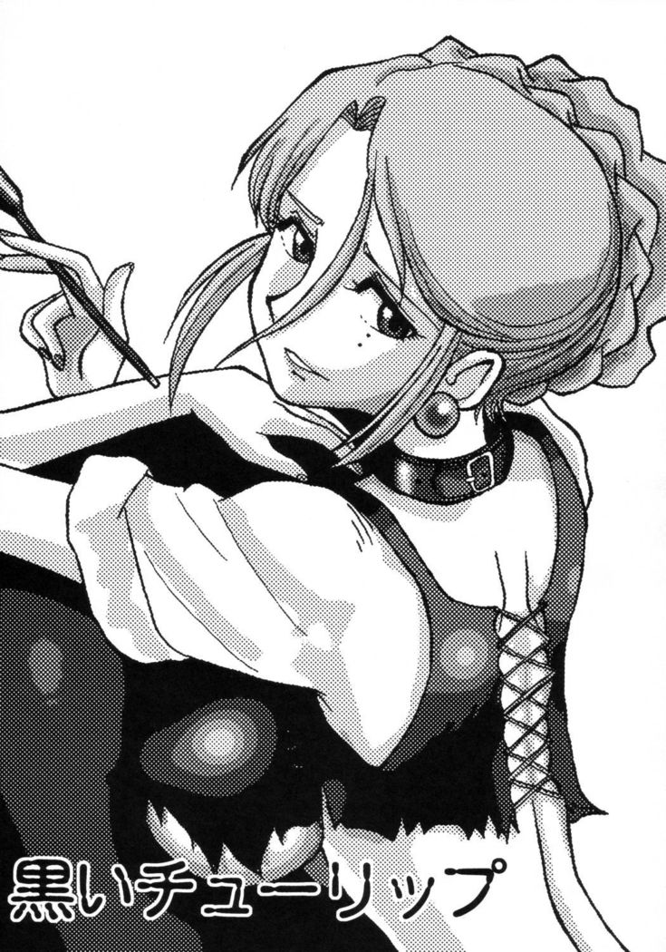 タンポポジル2黒井チューリップ|タンポポパワー2ブラックチューリップ