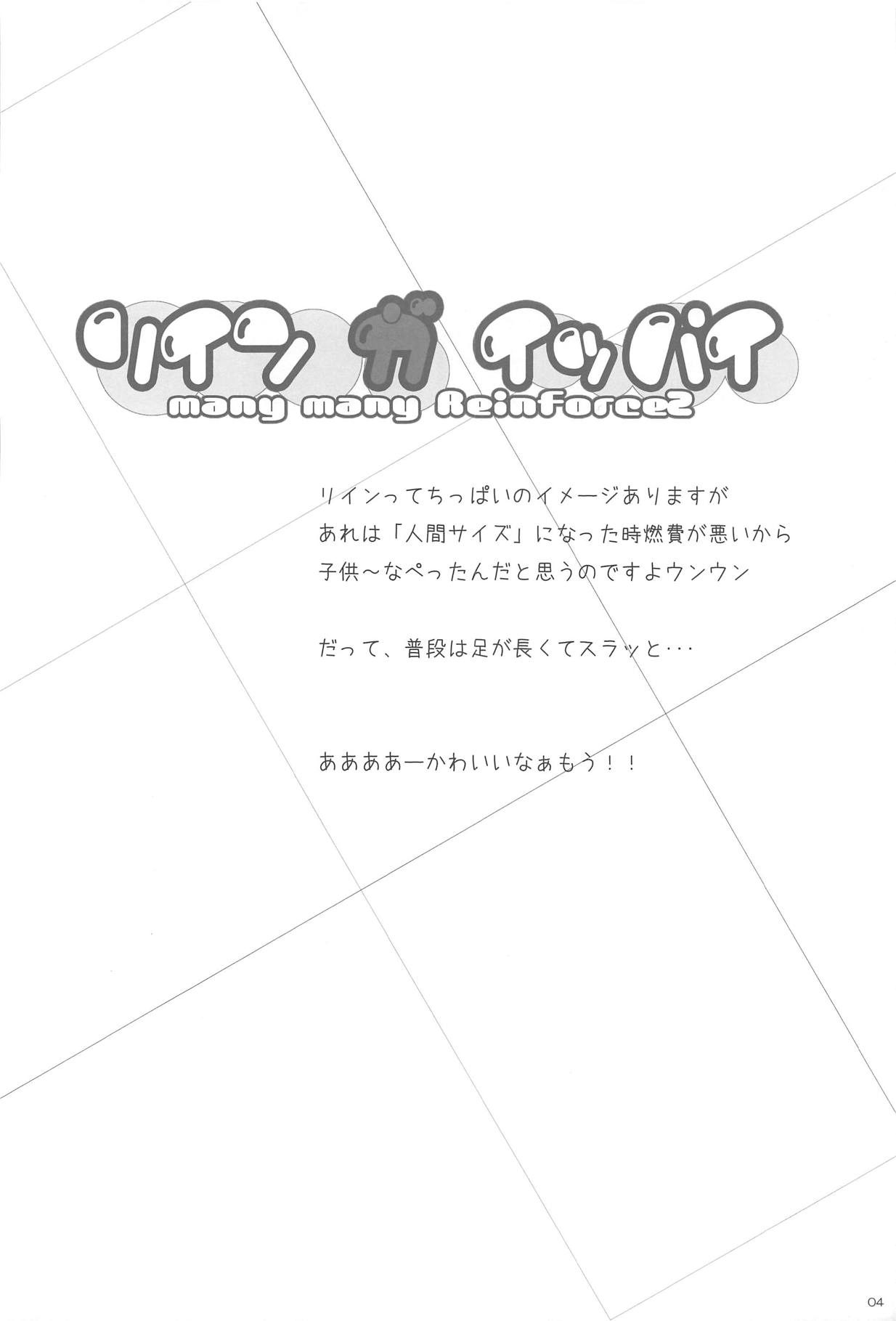(C82) [湯加減いかが? (湯加減てんゆ～)] リインガイッパイ (魔法少女リリカルなのはStrikerS)