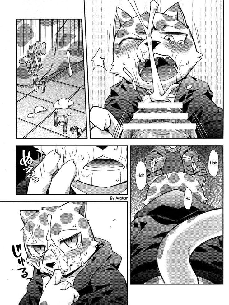 トリックライダー