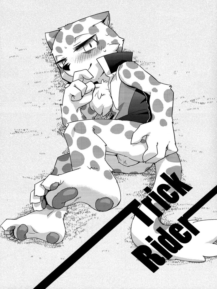 トリックライダー