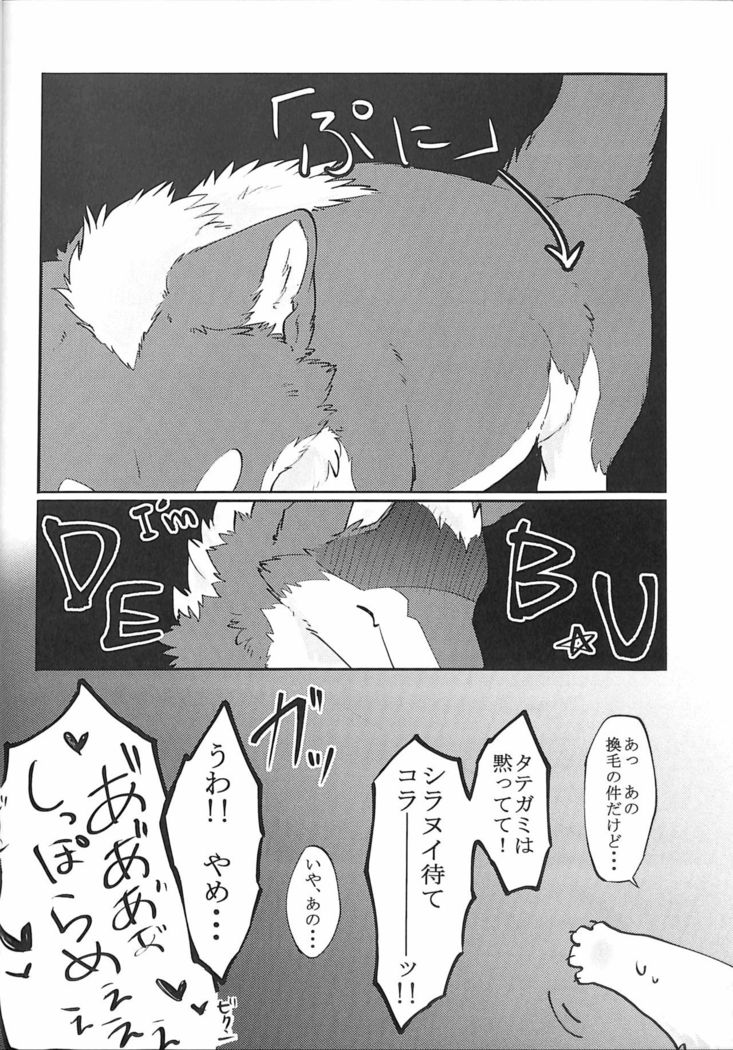 Dポイント！ -大河つくねx