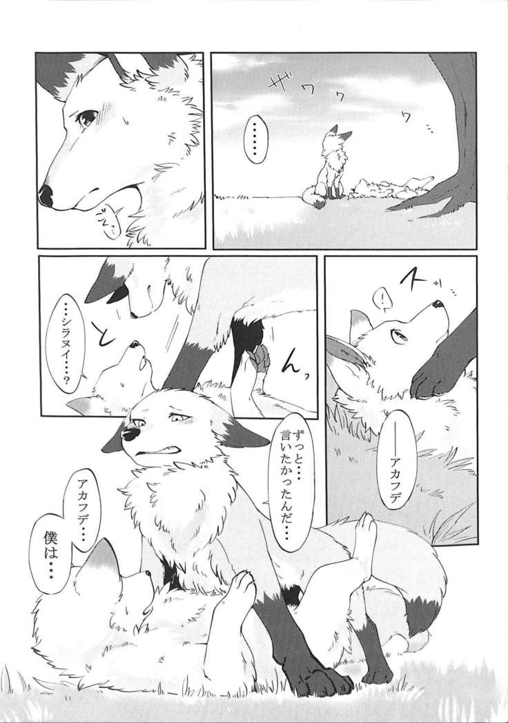 Dポイント！ -大河つくねx