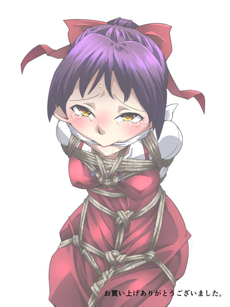 縛りねこ