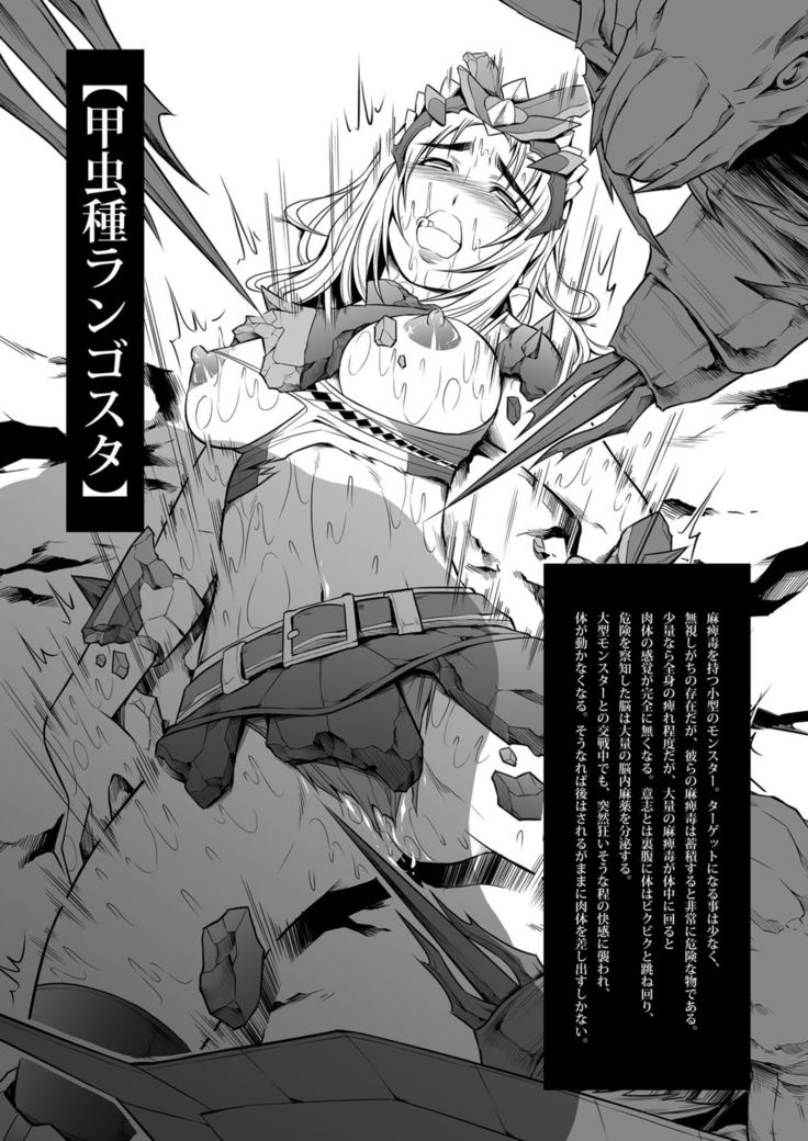 モンスター整体法国書