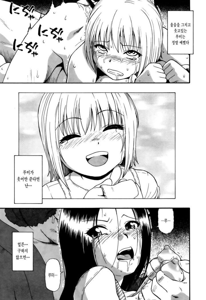 てんじくぼたん