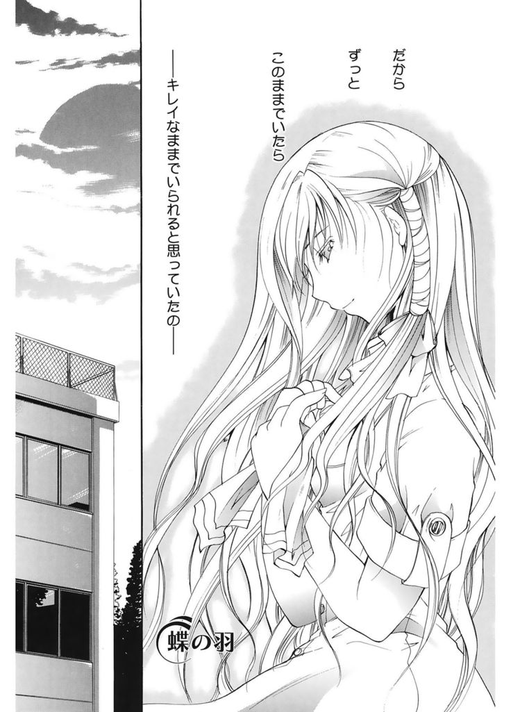 恋の涙と愛の光
