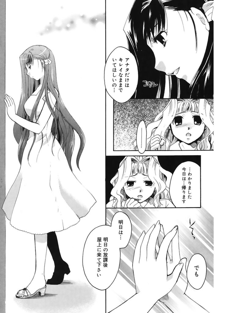 恋の涙と愛の光