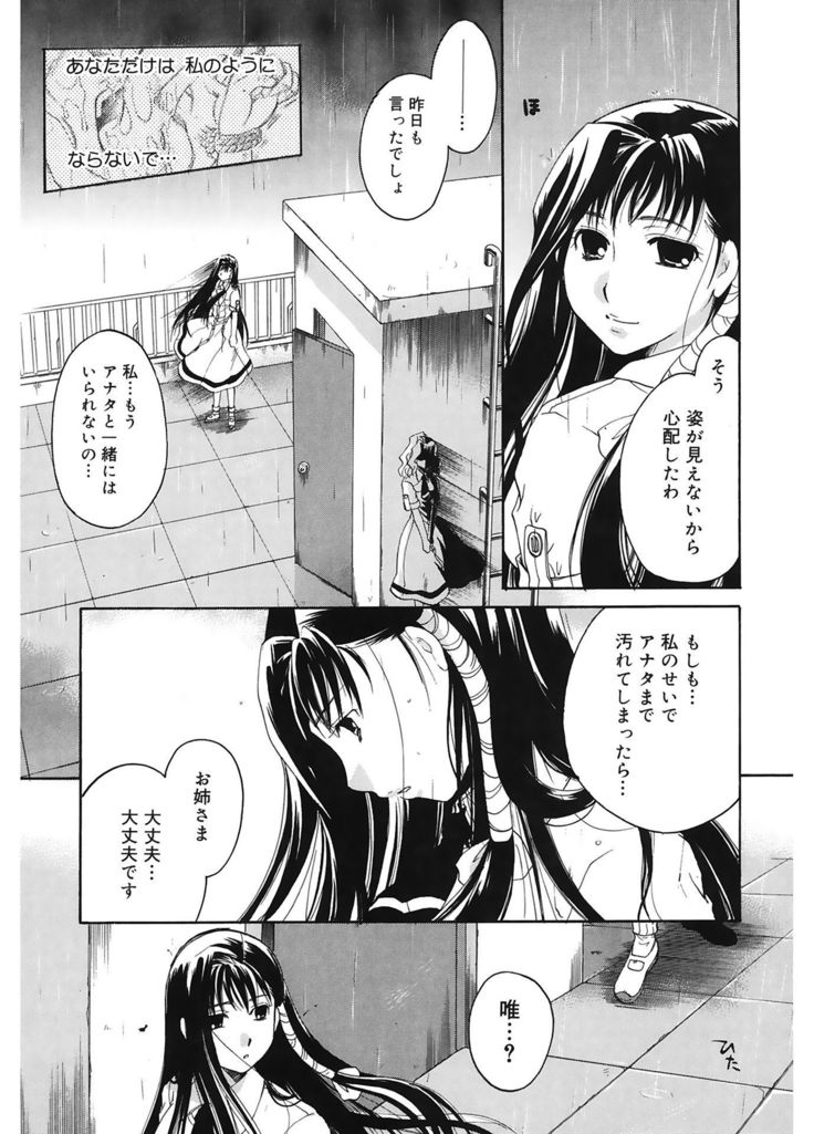 恋の涙と愛の光