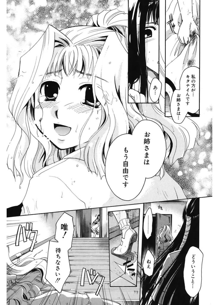 恋の涙と愛の光