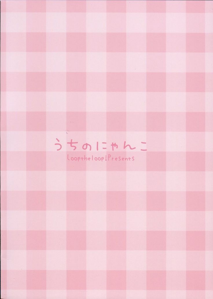 内のニャンコ