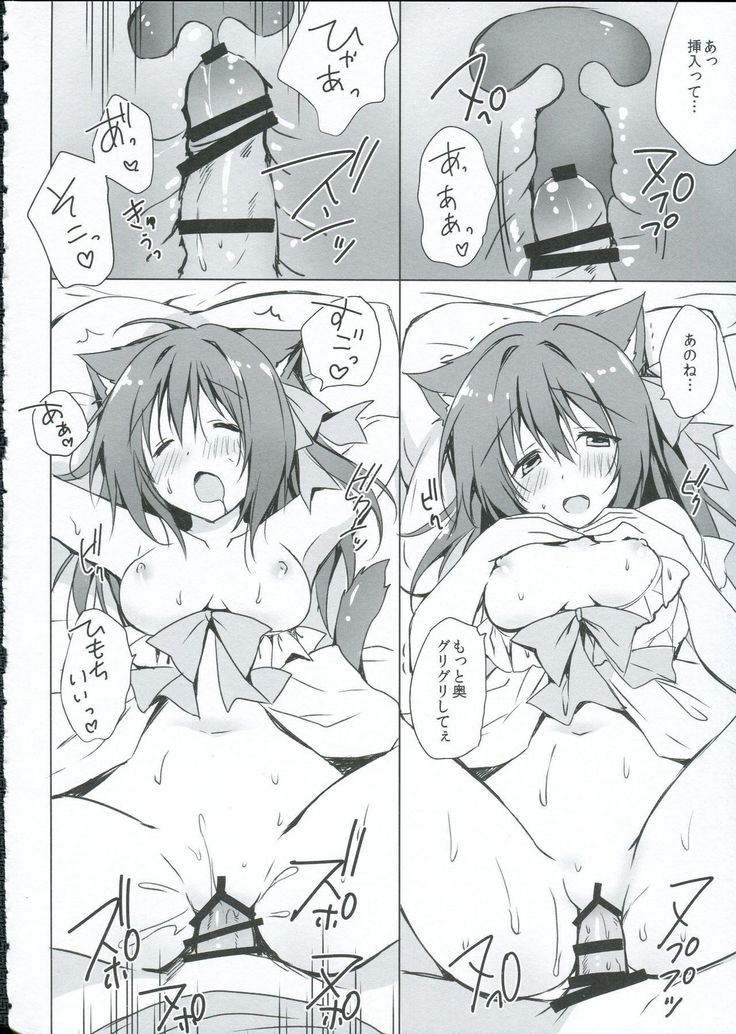 内のニャンコ