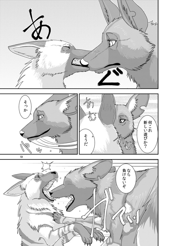 オオカミの群れ