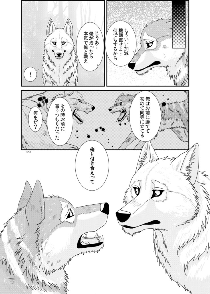 オオカミの群れ